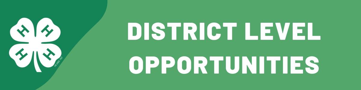 District Level Opportunities