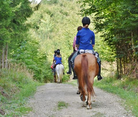 people riding horses on a trail