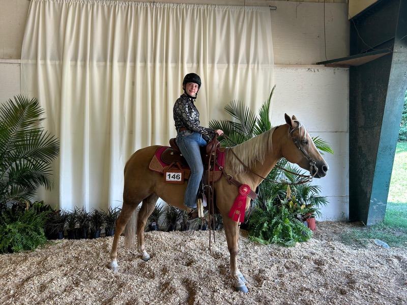 A young woman sits atop a horse with a red ribbon.
