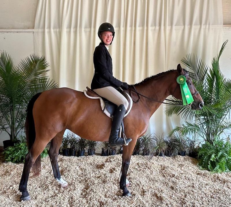 A young girl sits atop a horse with a green ribbon.