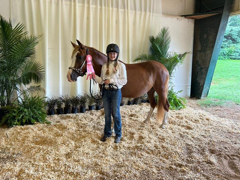 A young woman stands beside a horse with a pink ribbon.