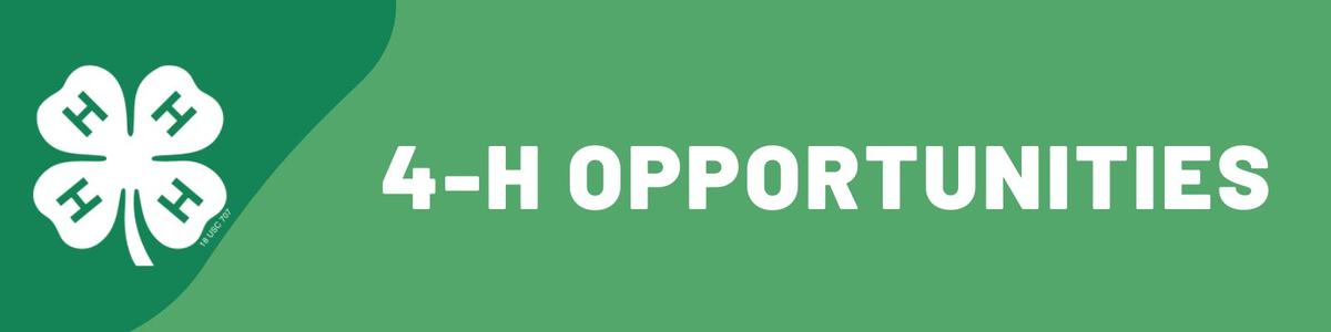 4-H four-leaf clover logo left; text "4-H OPPORTUNITIES" on green background