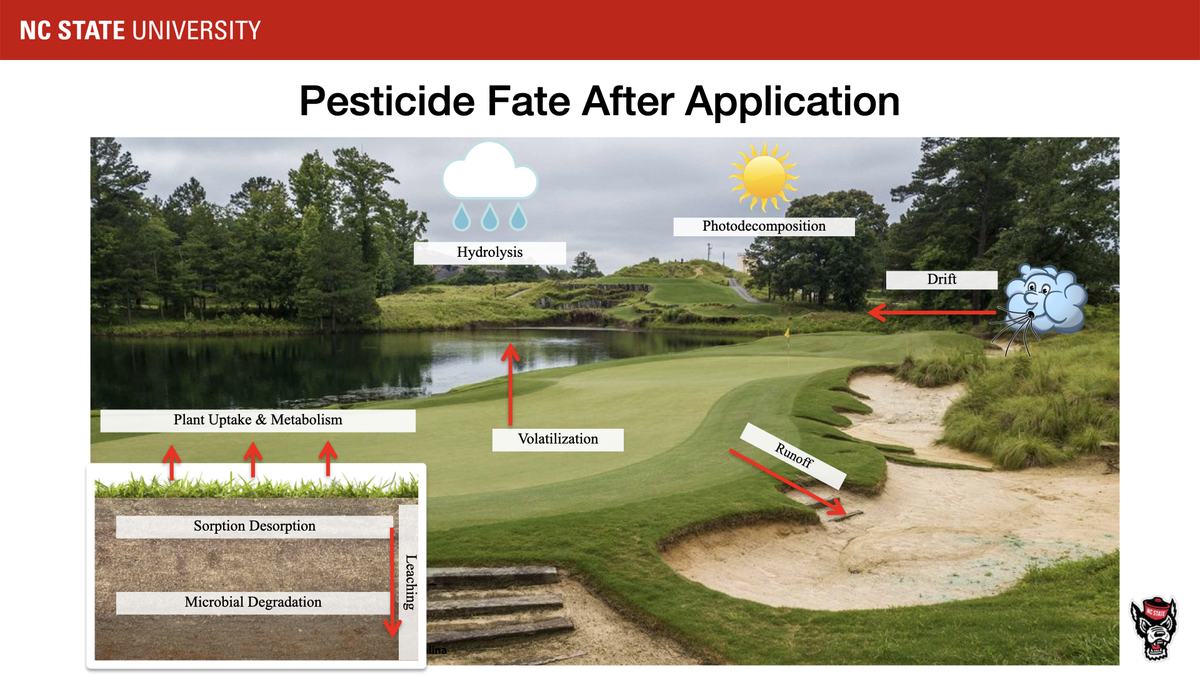 Pesticide Fate After Application diagram over golf course showing runoff, drift, volatilization, leaching