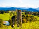 fence post