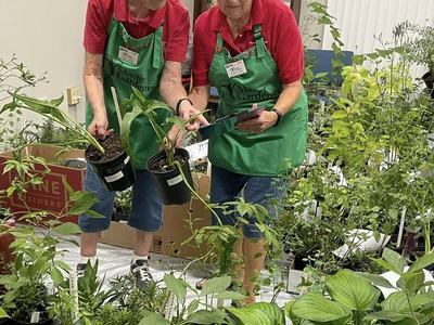 Two volunteers holding plants
