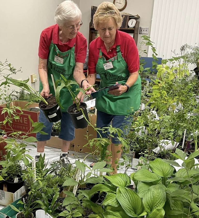 Two volunteers holding plants
