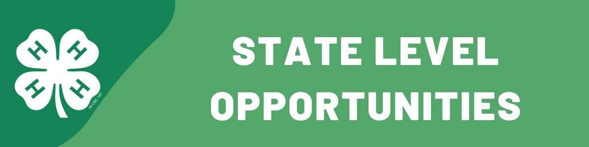 State Level Opportunities