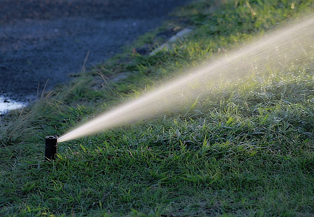 image showing sprinkler hosing turf