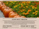 Page 1 of October 2024 Newsletter
