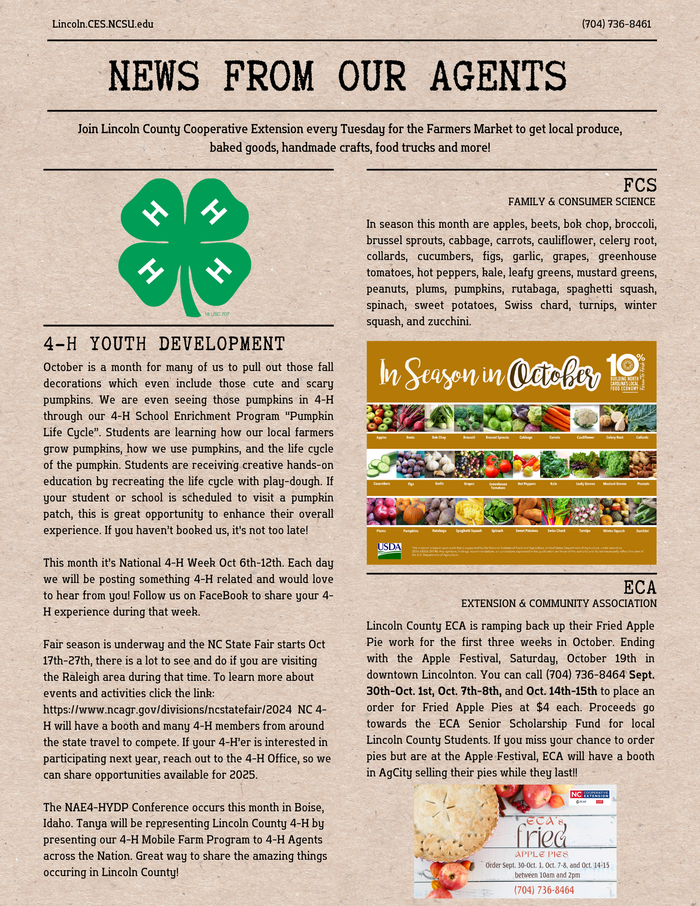 Page 3 of the October Newsletter with 4-H information, ECA Fried Apple Pie fundraiser info and in season produce from FCS