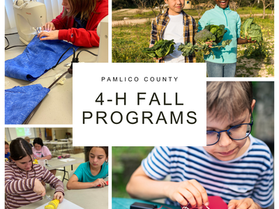 A collage of four images with the title 'Pamlico County 4-H Fall Programs'. The image shows various 4-H activities: youth holding crops in a garden, sewing in a classroom, building an electrical project, and preparing food in a cooking class.