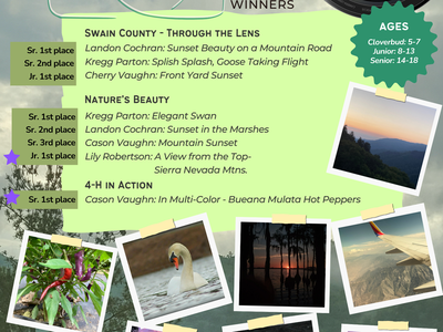 4-H Photography Contest 2024 Winners