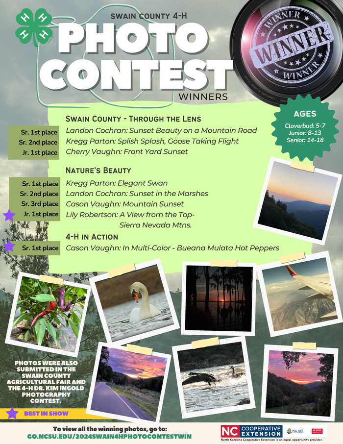 4-H Photography Contest 2024 Winners