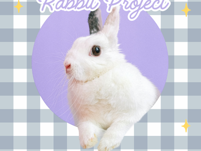 White rabbit with text "Rabbit Project" and "Alamance County 4-H"