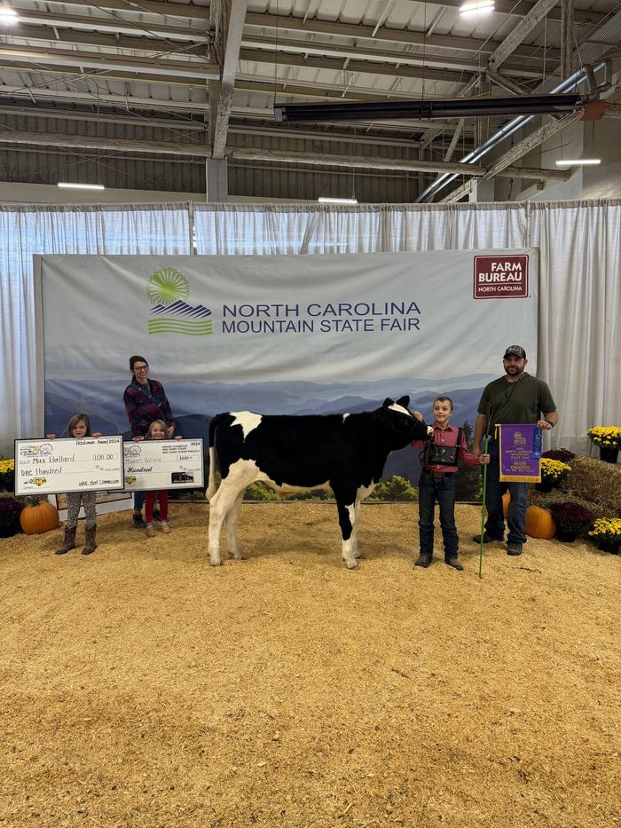 Youth exhibitor holding black-and-white steer with ribbon at North Carolina Mountain State Fair backdrop