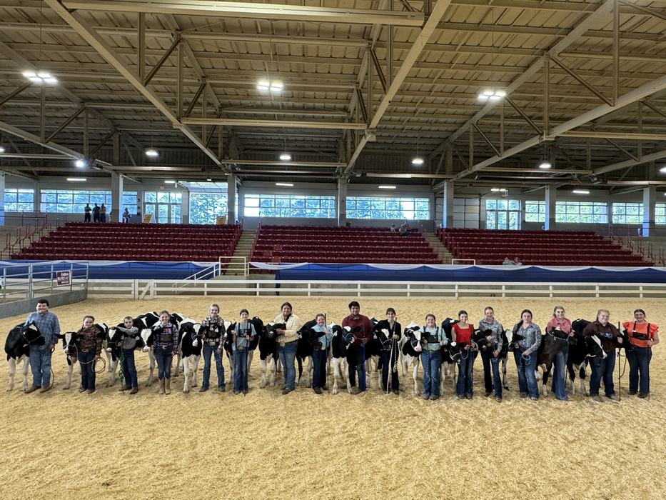 People lined up holding dairy calves in an indoor livestock show arena