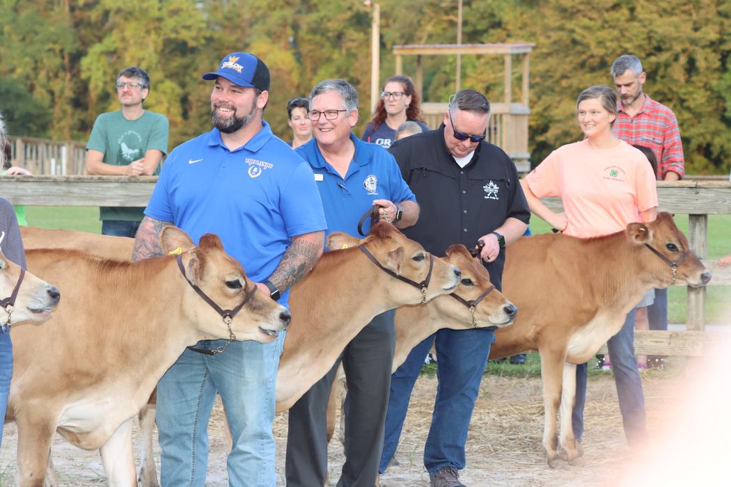 Community Leaders with calves