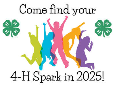Come Find Your 4-H Spark in 2025