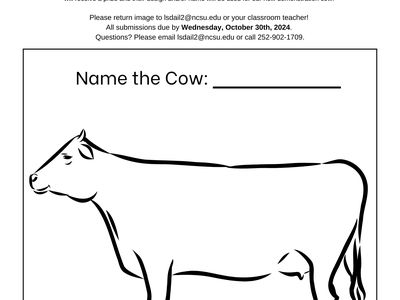 Color the Cow activity sheet showing cow outline and "Name the Cow:" blank line
