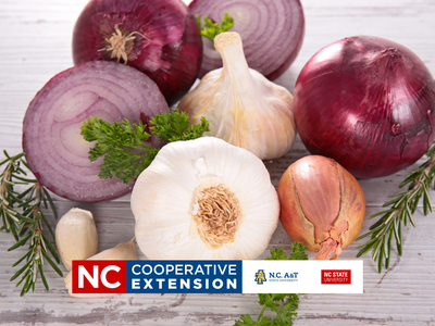 cooking with Onions and Garlic