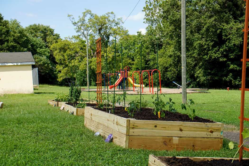 Raised wooden garden beds with young plants in front of a playground with slides.