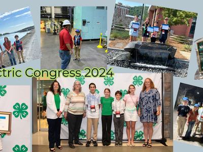 Member of 4-H Electric Congress trip