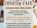 fair entry
