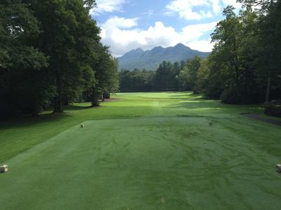 Golf tee box and fairway framed by trees, mountains visible in the distance.