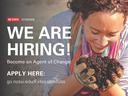We are Hiring!