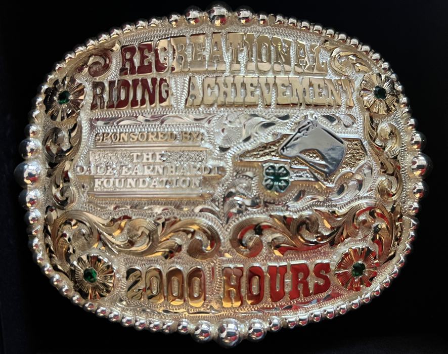 Large embellished belt buckle.
