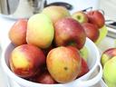 Bowl of red and green apples, some with water droplets, on a kitchen counter