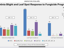 Sclerotina Blight Response to Fungicide programs.