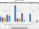 Sclerotina Blight Response to Fungicide programs.