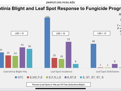 Sclerotina Blight Response to Fungicide programs.