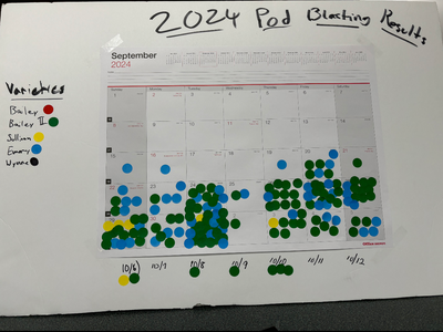 2024 Pod Blasting Results Chart