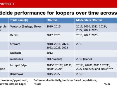 Table showing insecticide performance in replicated trials over time. They are grouped into effective, moderately effective and poor