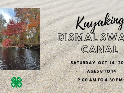 Kayaking the Dismal Swamp Canal