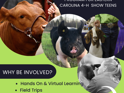 4-H Livestock Ambassador Team poster with cow, pig, goat photos; $25; Application due Oct. 14