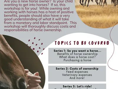 New Horse Owner Seminar Series flyer; Oct 12, 2024 10–11 AM, Facebook Live, Mississippi State Extension