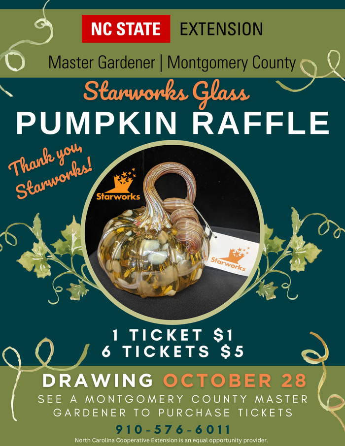 Pumpkin Raffle.