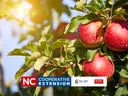 visit and apple orchard