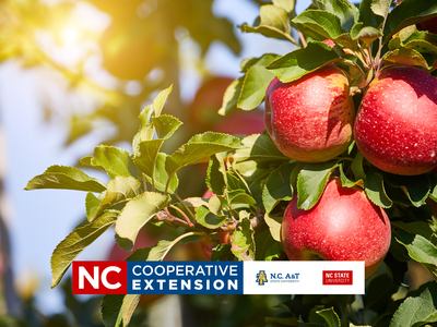 visit and apple orchard