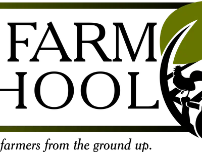 Stylized green leaf top-right, two long rounded green bars, and two white circles bottom-right