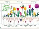 Spring Flowering Bulbs chart showing bulb types, planting depths, and Early/Mid/Late Spring.