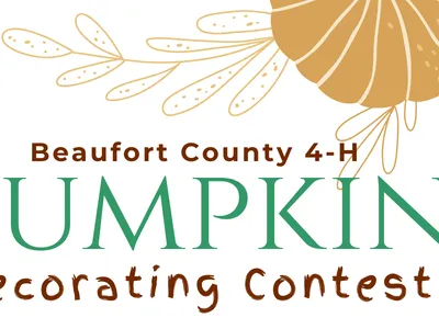 pumpkin decorating contest image with a clover and pumpkin pictures
