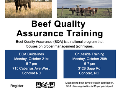 Beef Quality Assurance Training flyer — Oct 21 5–7pm (715 Cabarrus Ave W) and Oct 28 5–7pm (3128 Sapp Rd), Concord