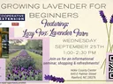 Growing Lavender for Beginners flyer featuring Lazy Fox Lavender Farm, Wed Sept 25 1–2:30 PM