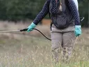 Pesticide Applicator