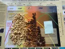 Peanut maturity chart with piles of pale and dark peanut pods and a small blue sticky note