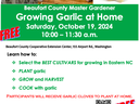 Flyer for Beaufort County "Growing Garlic at Home" workshop — Oct 19, 2024, 10:00–11:30 a.m., FREE